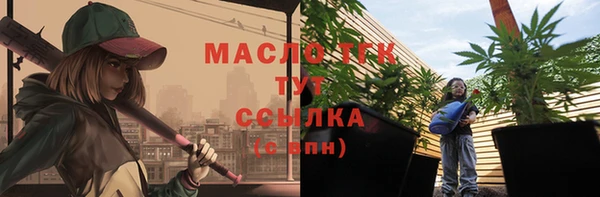 дживик Ладушкин