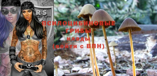 ГАЛЛЮЦИНОГЕННЫЕ ГРИБЫ Лабытнанги