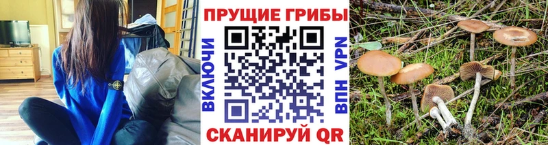 Галлюциногенные грибы ЛСД  где купить наркоту  Лангепас 