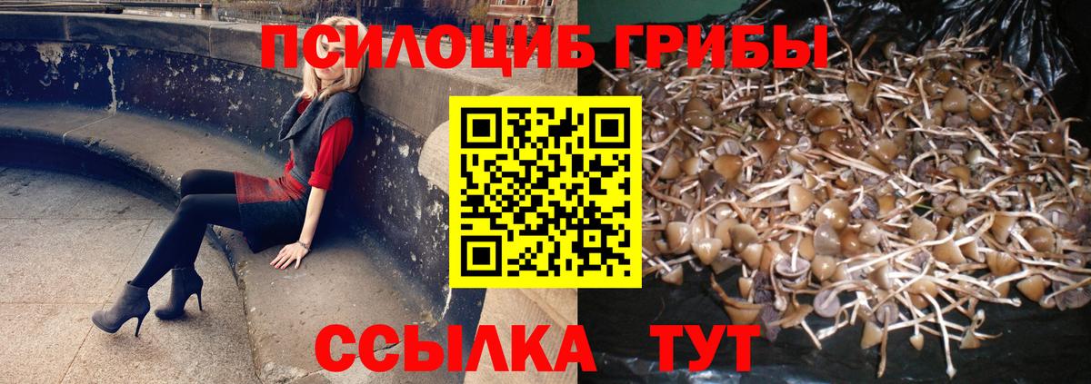 закладка  Псилоцибиновые грибы Psilocybe  Вход с VPN  Лангепас 
