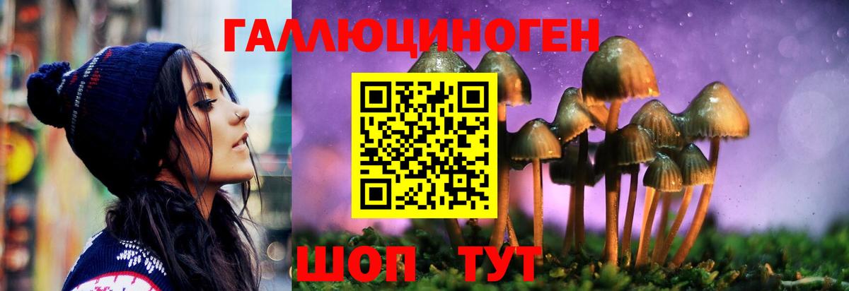 Галлюциногенные грибы Cubensis Лангепас